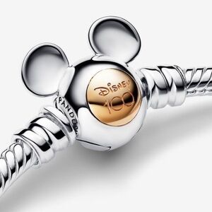 Disney 100 special edition bracelet